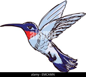 Colibri Illustration de Vecteur