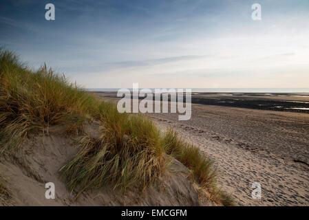 Soir paysage estival sur les dunes de sable sur plage Banque D'Images