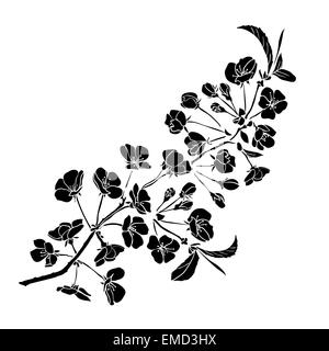 Sakura rameau en fleurs. Vector illustration. Contour noir Banque D'Images