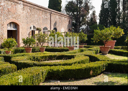 Vicobello, Sienne, Toscane, Italie. Le jardin italien formel avec couvertures buis taillés et pots de citronniers en dehors de la limonaia Banque D'Images