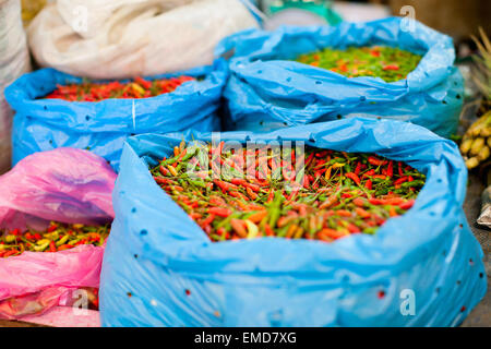 Chili Peppers sur market Banque D'Images