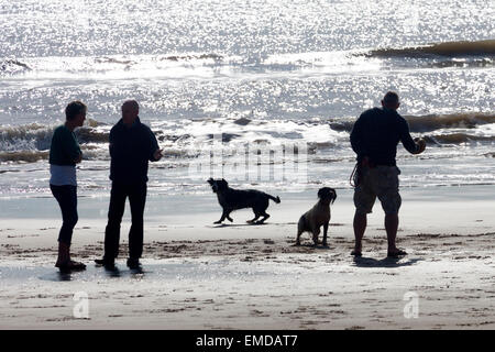 Silhouette, Dog Walkers, contre le soleil sur l'eau, Compton Bay, île de Wight, Angleterre, Royaume-Uni, Banque D'Images