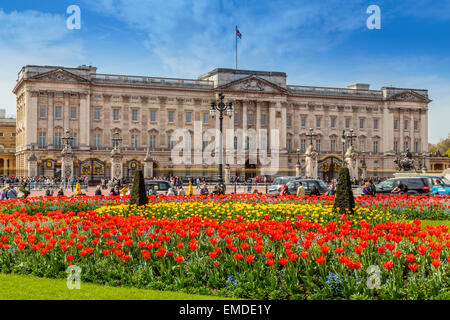 Un paysage de Buckingham Palace au printemps Ville de Westminster London UK Banque D'Images