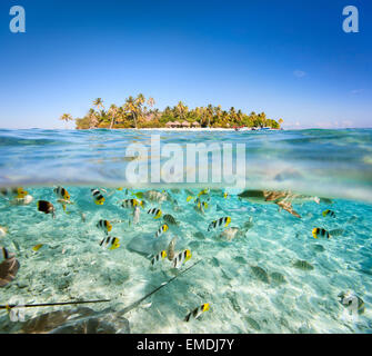 Belle île tropicale au-dessus et sous l'eau Banque D'Images