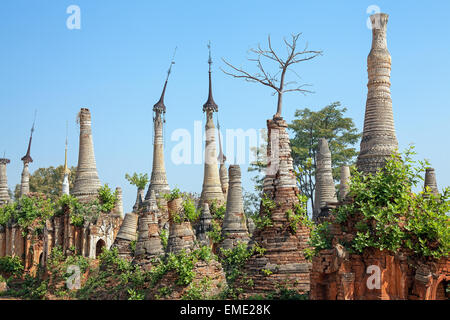 Ruines des anciens pagodes bouddhistes birmans, Shwe Nyaung Ohak Indein, Myanmar (Birmanie). Banque D'Images