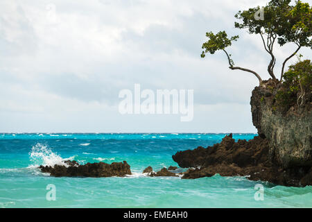 Beau palmier sur bleu profond de voir les vagues avec de l'eau et le ciel avec des nuages blancs à Philippines Boracay Island Banque D'Images