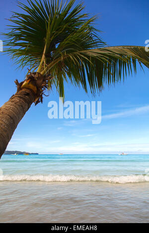 Beau palmier sur bleu profond de voir les vagues avec de l'eau et le ciel avec des nuages blancs à Philippines Boracay Island Banque D'Images