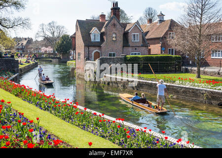 Jardins Westgate Canterbury au printemps la rivière en barque guidée Voyage Rivière Stour Banque D'Images