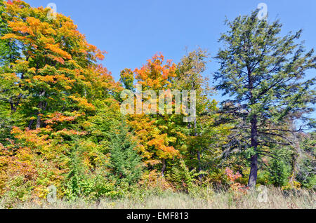 Couleurs d'automne près d'Ottawa river valley à sunny day Banque D'Images