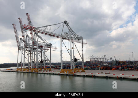 DP World Container Port de Southampton Docks Banque D'Images