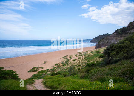 Détail de l'Turimetta Beach en Australie Banque D'Images