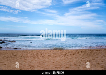 Détail de l'Turimetta Beach en Australie Banque D'Images