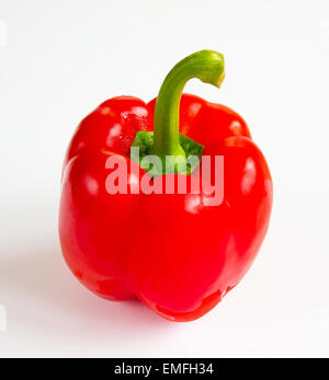 Poivron rouge frais (Capsicum) sur fond blanc Banque D'Images