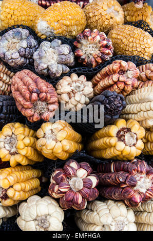 Différentes variétés de maïs autochtones) à Cusco, Pérou. Banque D'Images