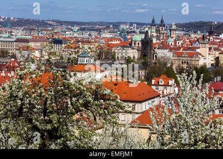 Printemps de Prague, République tchèque. Vue de la colline de Petrin fleurissant à la vieille ville, Prague, République tchèque Prague + paysage urbain Banque D'Images