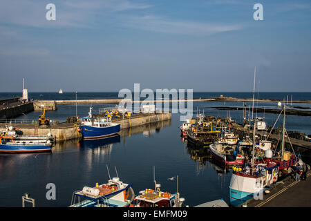 Au coucher du soleil le port de Seahouses Banque D'Images