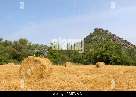 Round hay bails en français paysage de la Drôme Banque D'Images