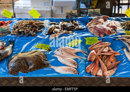 Poisson frais pour la vente sur le marché en plein air dans le vieux Nice, France. Banque D'Images