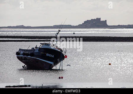 À la recherche de l'île de Lindisfarne, un bateau de pêche et le lointain Château de Bamburgh, Northumberland, Angleterre Banque D'Images