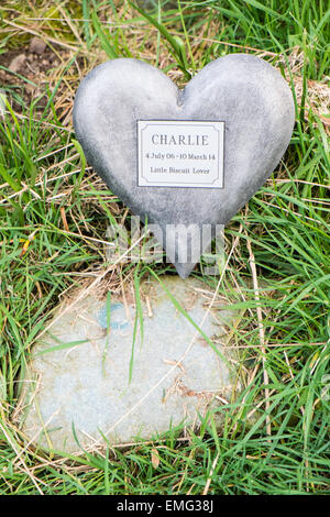 Tombes, pierres tombales pour chiens morts avec des fleurs fraîches à côté de l'église St-Matthieu, Borth,près d'Aberystwyth, Ceredigion, pays de Galles Banque D'Images