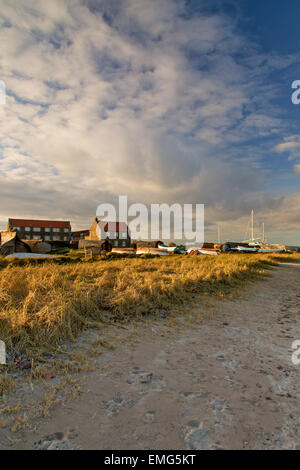 Baie de Lindisfarne au coucher du soleil, Northumberland, England, UK Banque D'Images