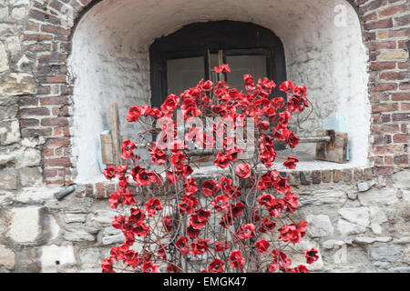 Le sang a balayé les terres et les mers de l'évolution de rouge l'installation d'art à la Tour de Londres. 888 246 coquelicots sera planté dans le fossé par des bénévoles avec le dernier coquelicot être semées le 11 novembre 2014. Chaque coquelicot représente une fatalité coloniale Britannique ou dans la Première Guerre mondiale. Les coquelicots sont en vente avec 10  % plus tout le produit net passe à six organismes de service. Doté d''atmosphère : où : London, Royaume-Uni Quand : 16 Oct 2014 Banque D'Images