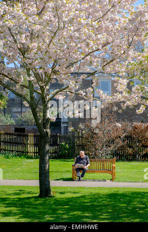 Chippenham, UK. 21 avril, 2015. Un homme appréciant le temps chaud est photographié de lire le journal dans un parc public à Chippenham, Wiltshire Crédit : lynchpics/Alamy Live News Banque D'Images