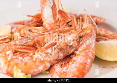 Langoustines grillées et bouilli avec du citron Banque D'Images