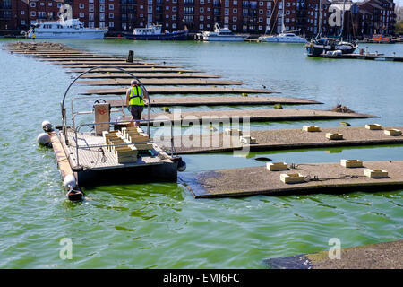 Preston, Lancashire : bacs de sternes sont énoncés dans Preston Marina d'encourager la colonie de sternes pour nicher. Banque D'Images