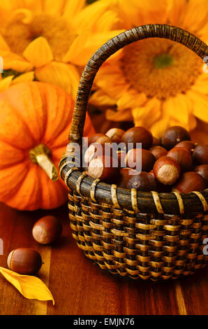 Les glands dans un panier en osier avec des citrouilles et tournesols. Banque D'Images