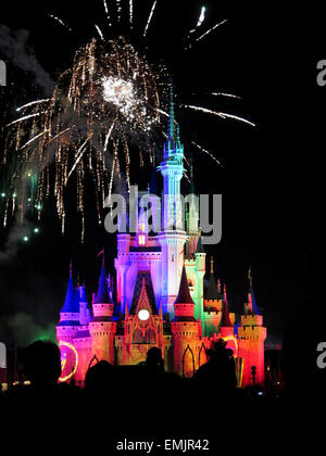 La fameuse nuit d'artifice spectaculaire tient à la Disney Magic Kingdom Château à Orlando, en Floride, le 7 février, 2015 Banque D'Images