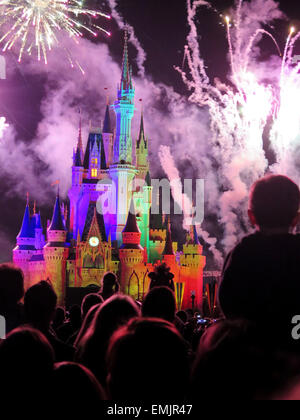 La fameuse nuit d'artifice spectaculaire tient à la Disney Magic Kingdom Château à Orlando, en Floride, le 7 février, 2015 Banque D'Images