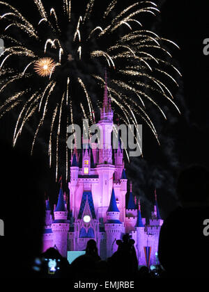 La fameuse nuit d'artifice spectaculaire tient à la Disney Magic Kingdom Château à Orlando, en Floride, le 7 février, 2015 Banque D'Images