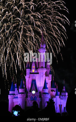 La fameuse nuit d'artifice spectaculaire tient à la Disney Magic Kingdom Château à Orlando, en Floride, le 7 février, 2015 Banque D'Images