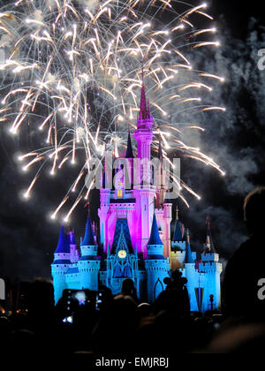 La fameuse nuit d'artifice spectaculaire tient à la Disney Magic Kingdom Château à Orlando, en Floride, le 7 février, 2015 Banque D'Images