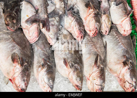 Marché de fruits de mer Banque D'Images