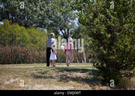 Grand parents et petite fille d'avoir une promenade, Novato, Californie, USA Banque D'Images