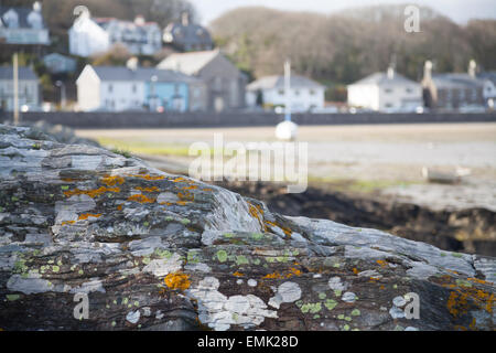 Close up de blanc, vert et jaune horizontal formations à Borth-y-Gest, avec en arrière-plan le port de Porthmadog Banque D'Images