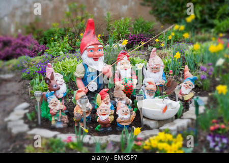 Groupe de nains de jardin dans un lit de fleur de printemps en fleurs, vallée de Stubai, dans le Tyrol, Autriche Banque D'Images