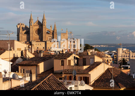 Le centre historique et la cathédrale La Seu dans la lumière du soir, Palma de Mallorca, Majorque, Îles Baléares, Espagne Banque D'Images