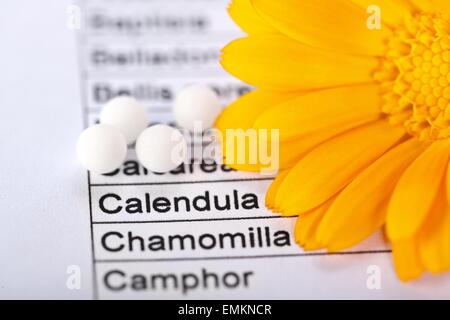 Calendula officinalis mot portait sur feuille, fleur et pilules homéopathiques autour Banque D'Images