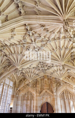 L'architecture gothique à l'intérieur de l'école', 'Divinity [Bodleian Library], [université d'Oxford], Oxford, Angleterre, Royaume-Uni Banque D'Images