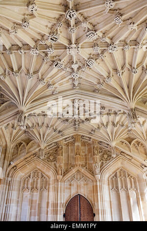 'Divinity School' et de l'intérieur, plafond [Bodleian Library], [l'Université d'Oxford], Oxford, Oxfordshire, England, UK Banque D'Images