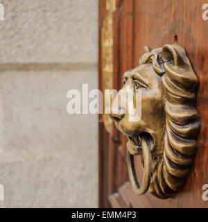 Tête de lion heurtoir sur une porte en bois Banque D'Images