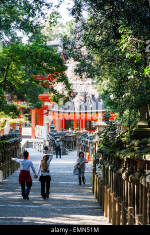 Des touristes se promènent le long Oaimichi Lane bordée d'au-delà de la ligne de lanternes en pierre de chaque côté et Vermilion Kasuga-Taisha shrine building en arrière-plan. Banque D'Images