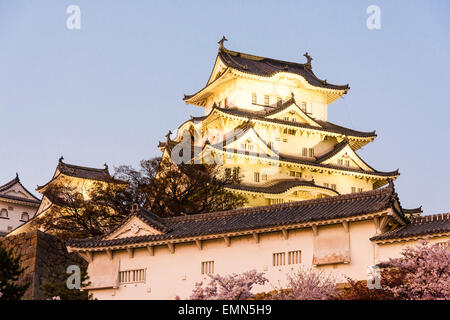 L'attraction touristique du château de Himeji au Japon. Voir l'heure d'or juste avant le coucher du soleil du donjon dominant les murs intérieurs et les cerisiers en fleurs en premier plan. Banque D'Images