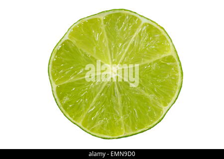 Tranche de lime isolé sur fond blanc. Banque D'Images