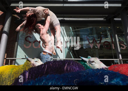 Pour célébrer le 10e anniversaire de la célèbre Festival Latitude multi-couleur des moutons de Suffolk à Londres pour effectuer avec danseurs Shaun Dillon et Kim Collins, en face de Sadler's Wells. La latitude est le plus grand festival pluri-artistique et pour les huit ans Sadler's Wells présentera un programme de danse de classe mondiale au festival du 16 au 19 juillet. Le festival a lieu dans le parc de Henham Park. La latitude de moutons, six brebis avec des moutons de couleur dye, ont été transportés à Banque D'Images