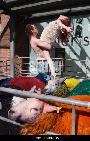 Pour célébrer le 10e anniversaire de la célèbre Festival Latitude multi-couleur des moutons de Suffolk à Londres pour effectuer avec danseurs Shaun Dillon et Kim Collins, en face de Sadler's Wells. La latitude est le plus grand festival pluri-artistique et pour les huit ans Sadler's Wells présentera un programme de danse de classe mondiale au festival du 16 au 19 juillet. Le festival a lieu dans le parc de Henham Park. La latitude de moutons, six brebis avec des moutons de couleur dye, ont été transportés à Banque D'Images