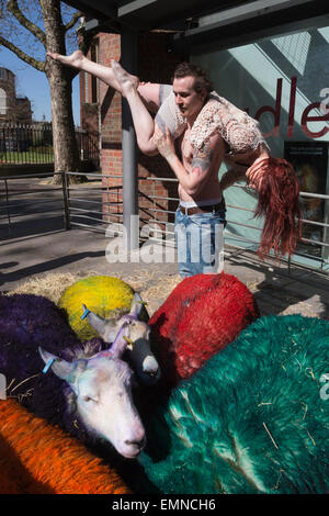 Pour célébrer le 10e anniversaire de la célèbre Festival Latitude multi-couleur des moutons de Suffolk à Londres pour effectuer avec danseurs Shaun Dillon et Kim Collins, en face de Sadler's Wells. La latitude est le plus grand festival pluri-artistique et pour les huit ans Sadler's Wells présentera un programme de danse de classe mondiale au festival du 16 au 19 juillet. Le festival a lieu dans le parc de Henham Park. La latitude de moutons, six brebis avec des moutons de couleur dye, ont été transportés à Banque D'Images